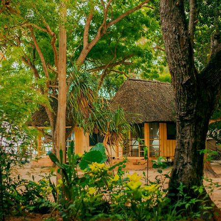 Mikadi Beach Camp & Backpackers Pansiyon Darüsselam Dış mekan fotoğraf